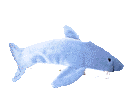A GIF of a plush shark swimming around in a circle, placed over the right end of the navigation bar.